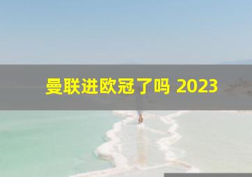 曼联进欧冠了吗 2023